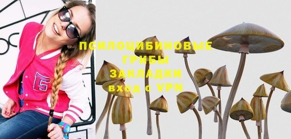 Альфа ПВП Верхний Тагил