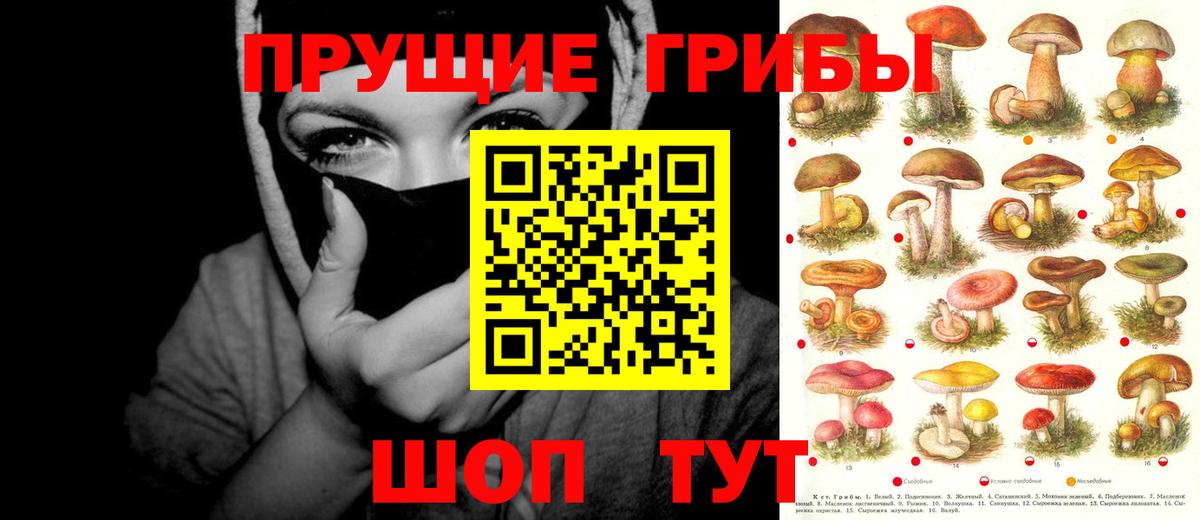 Псилоцибиновые грибы Magic Shrooms  Вход с VPN  Ноябрьск 