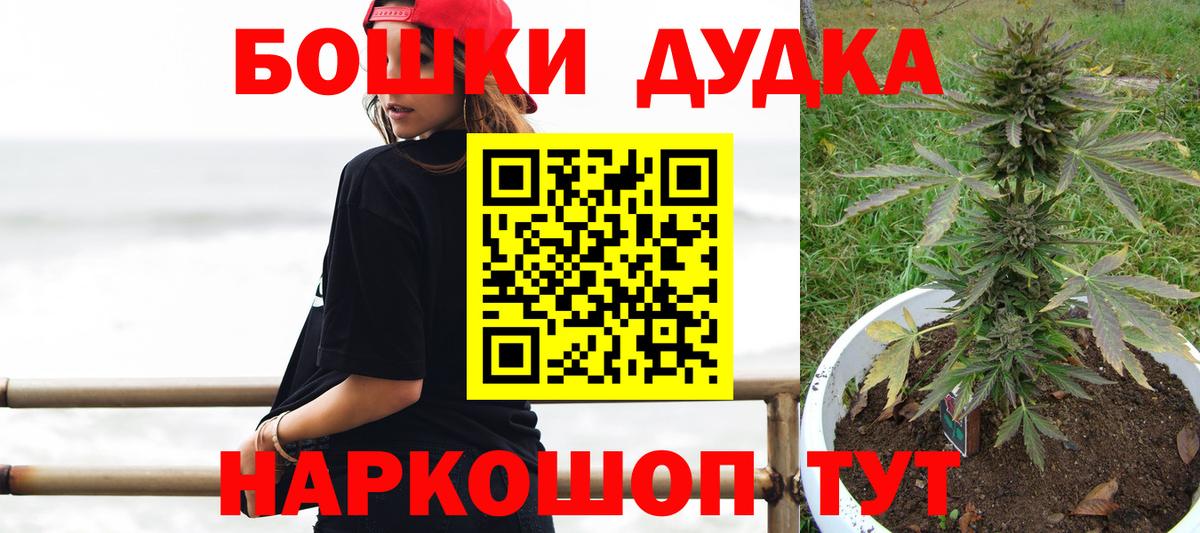 Канабис план Ноябрьск